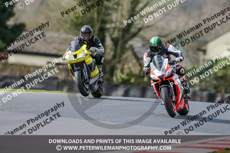 Oulton Park 21st March 2020;PJ Motorsport Photography 2020;anglesey;brands hatch;cadwell park;croft;donington park;enduro digital images;event digital images;eventdigitalimages;mallory;no limits;oulton park;peter wileman photography;racing digital images;silverstone;snetterton;trackday digital images;trackday photos;vmcc banbury run;welsh 2 day enduro